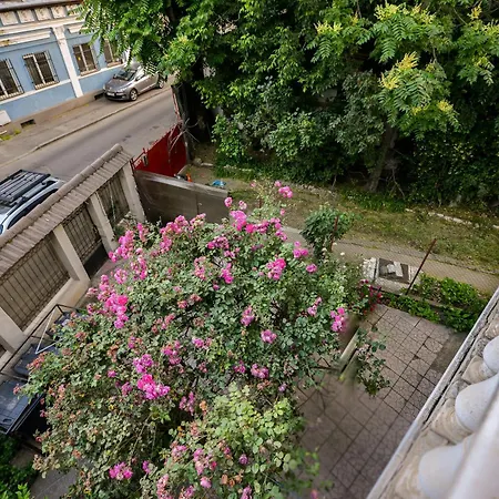 Cozy Next To The Old Town Apartment *